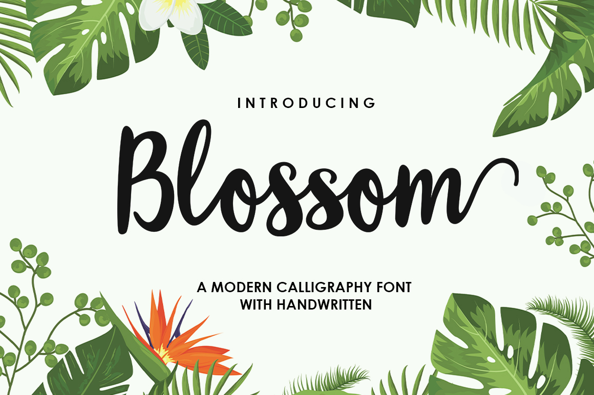 Blossom Script Font: A Modern Script for Stunning Designs