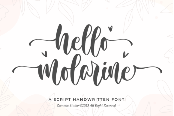 Discover the Elegance of Hello Molarine Script Font